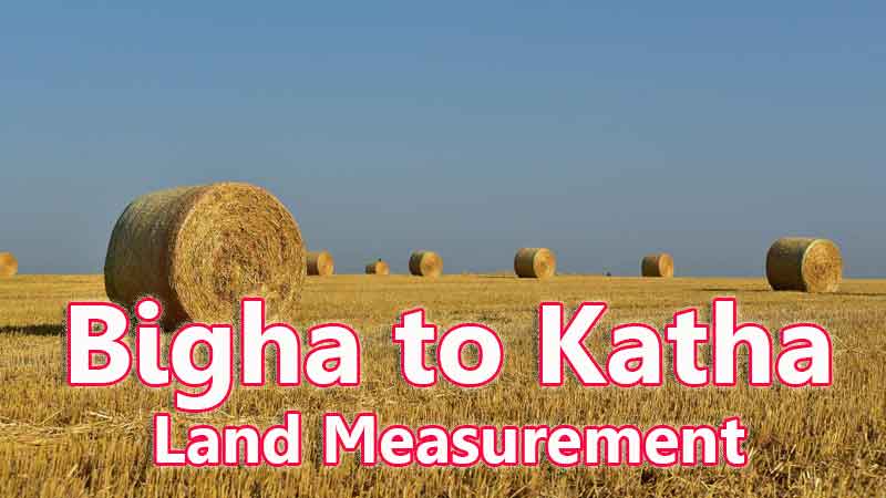 bigha to katha conversion online