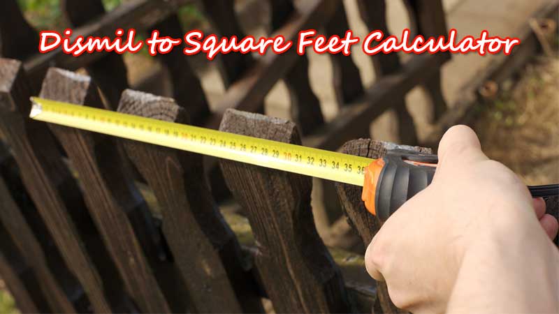 dismil to square feet conversion online