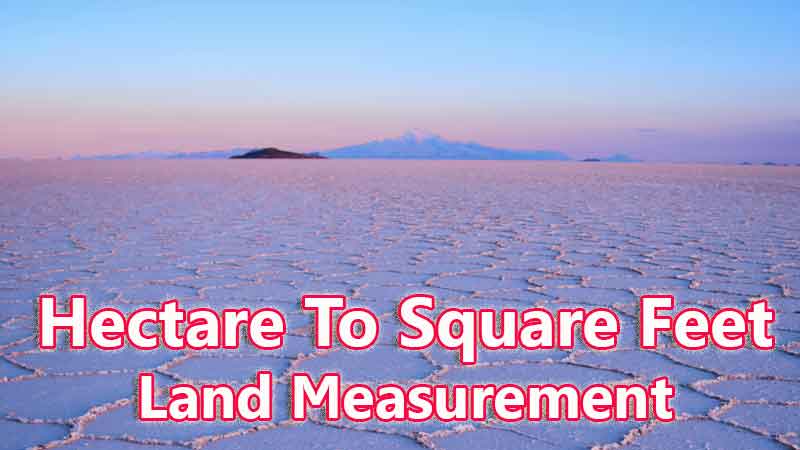 Hectare To Square Feet Converter Online Unit Calculator